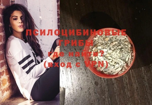 шишки Гусиноозёрск