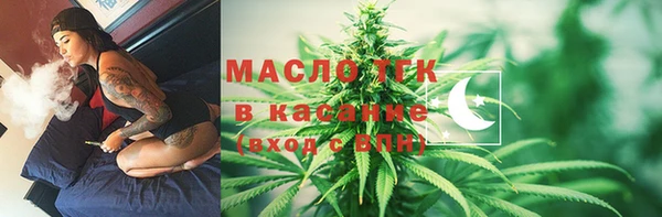 шишки Гусиноозёрск