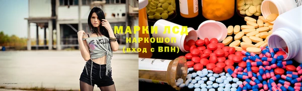 шишки Гусиноозёрск