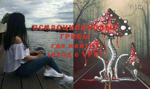 a pvp Гусев