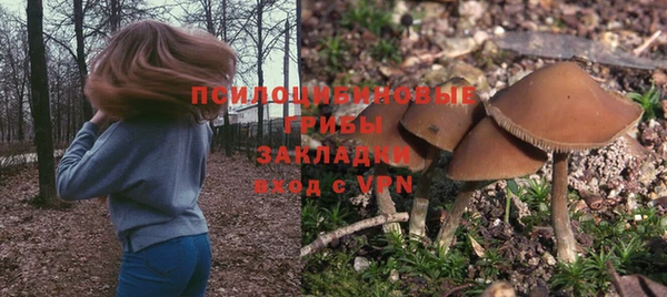 марки lsd Горнозаводск
