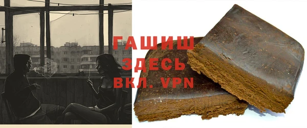 шишки Гусиноозёрск