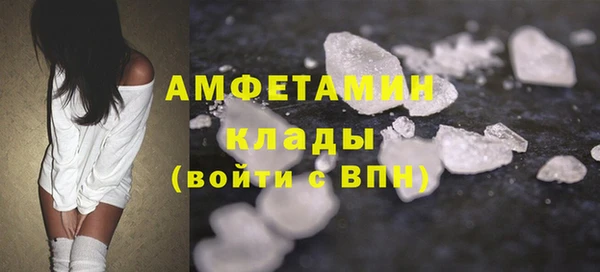 эйфоретик Гусь-Хрустальный