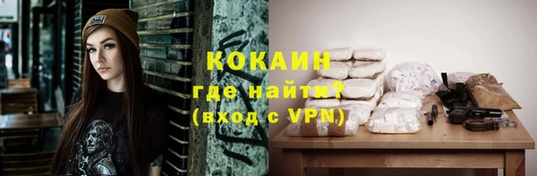 эйфоретик Гусь-Хрустальный