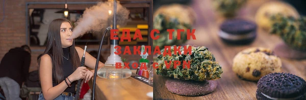 шишки Гусиноозёрск