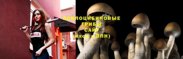 a pvp Гусев