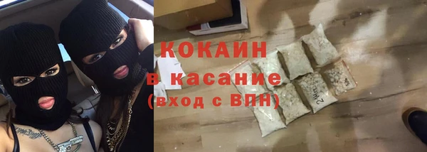 шишки Гусиноозёрск