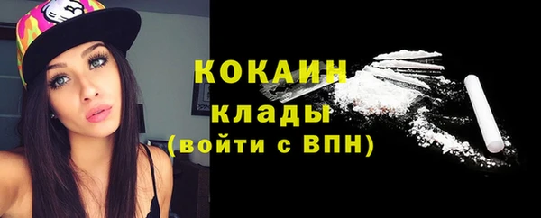 шишки Гусиноозёрск