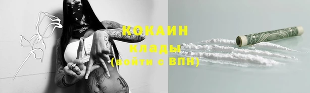 шишки Гусиноозёрск