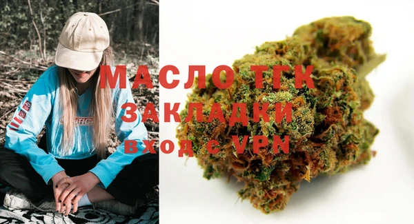 шишки Гусиноозёрск
