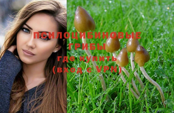 шишки Гусиноозёрск
