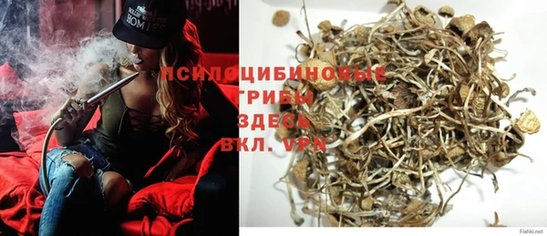 эйфоретик Гусь-Хрустальный