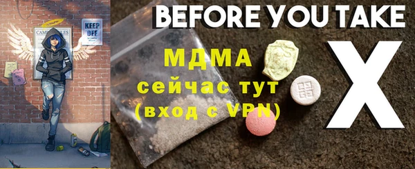 эйфоретик Гусь-Хрустальный