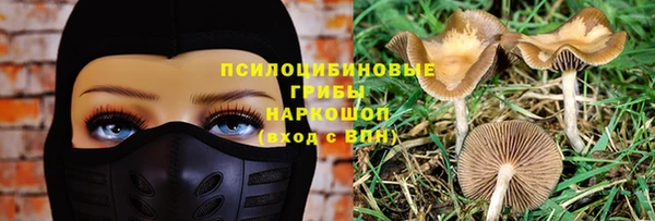 a pvp Гусев