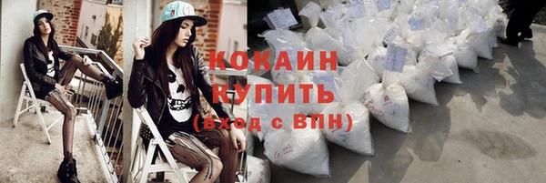 эйфоретик Гусь-Хрустальный