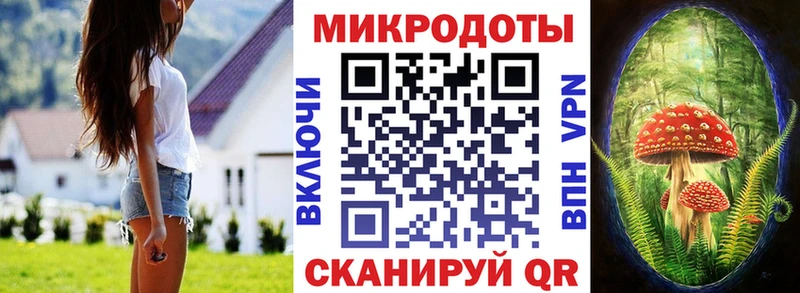 Галлюциногенные грибы MAGIC MUSHROOMS  Дмитриев 